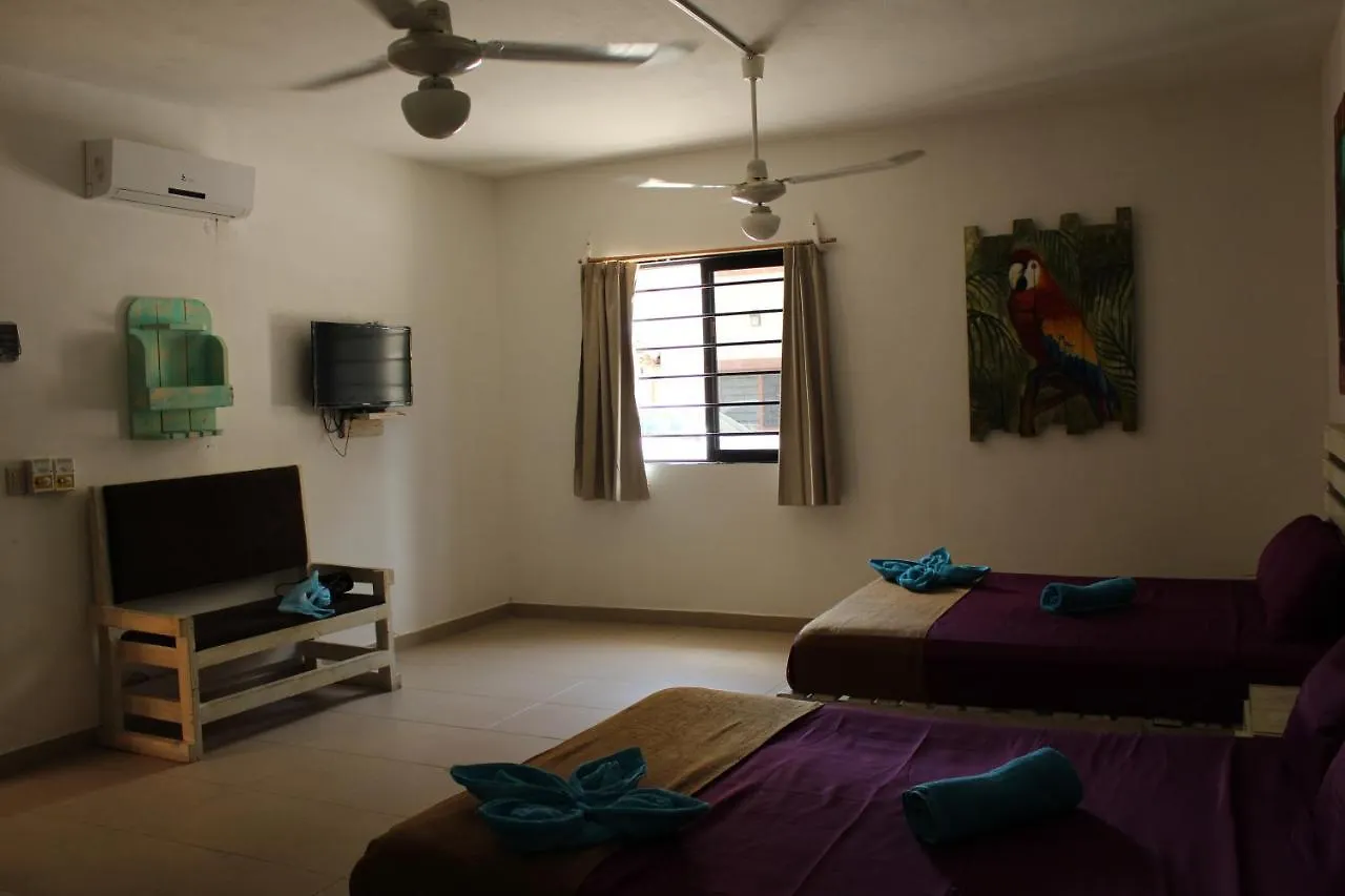 Hotel Condo 44Th Playa del Carmen