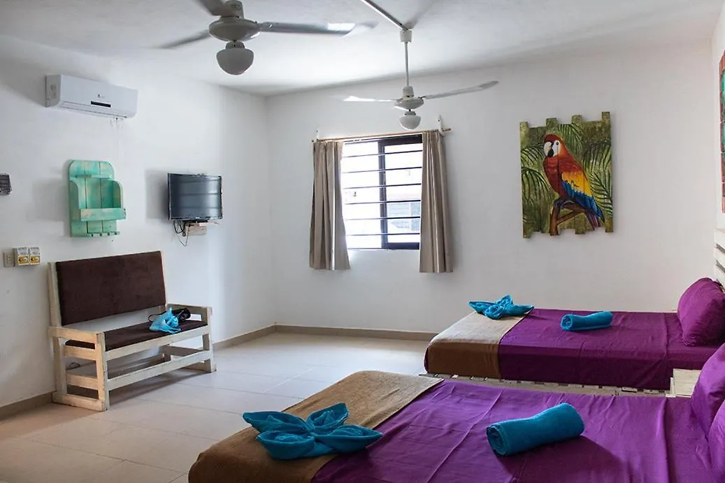 Condo 44Th Playa del Carmen Hotel